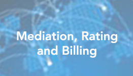 mediation-rating-billing-slide